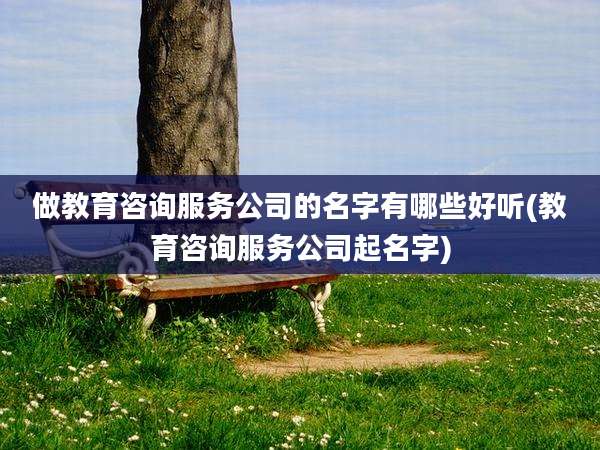 做教育咨询服务公司的名字有哪些好听(教育咨询服务公司起名字)