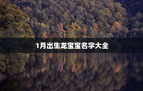 1月出生龙宝宝名字大全