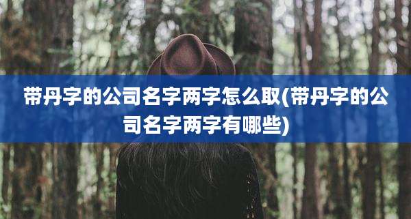 带丹字的公司名字两字怎么取(带丹字的公司名字两字有哪些)
