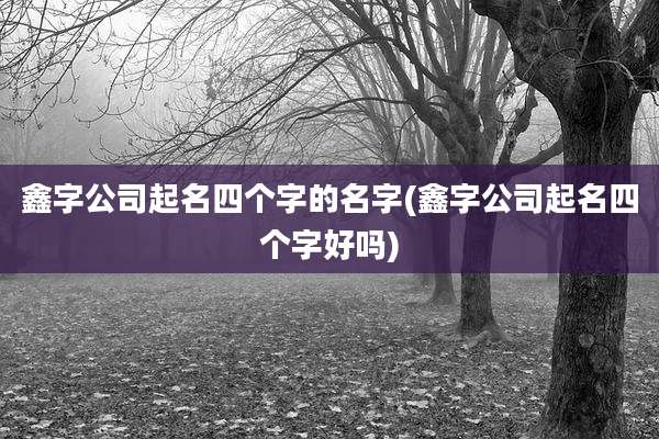 鑫字公司起名四个字的名字(鑫字公司起名四个字好吗)