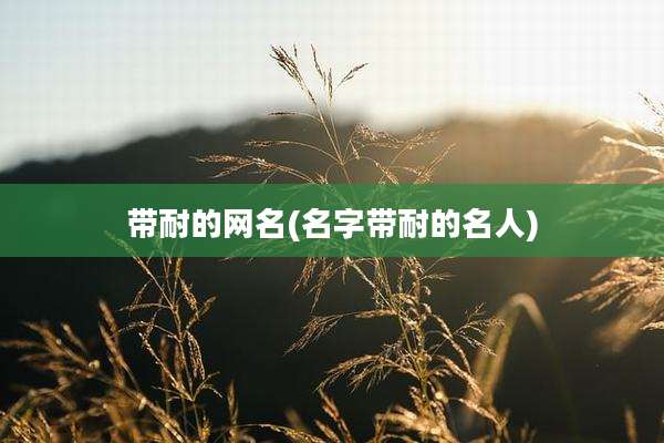 带耐的网名(名字带耐的名人)