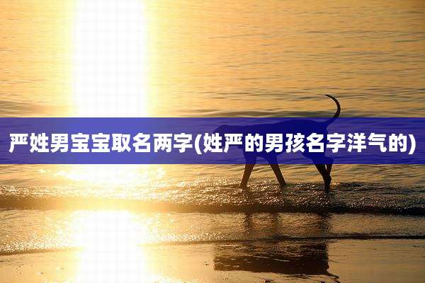 严姓男宝宝取名两字(姓严的男孩名字洋气的)