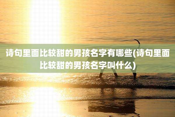 诗句里面比较甜的男孩名字有哪些(诗句里面比较甜的男孩名字叫什么)