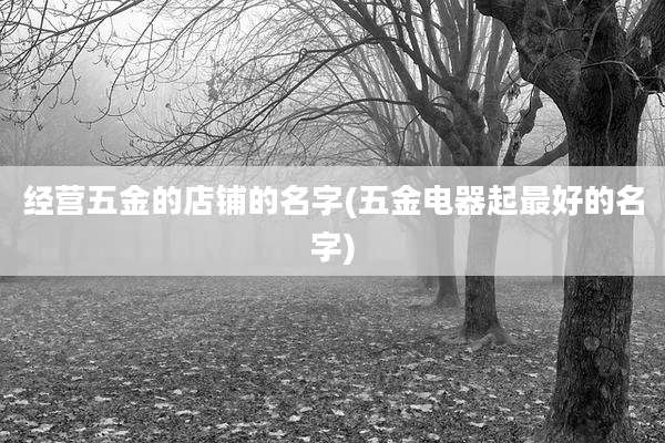 经营五金的店铺的名字(五金电器起最好的名字)
