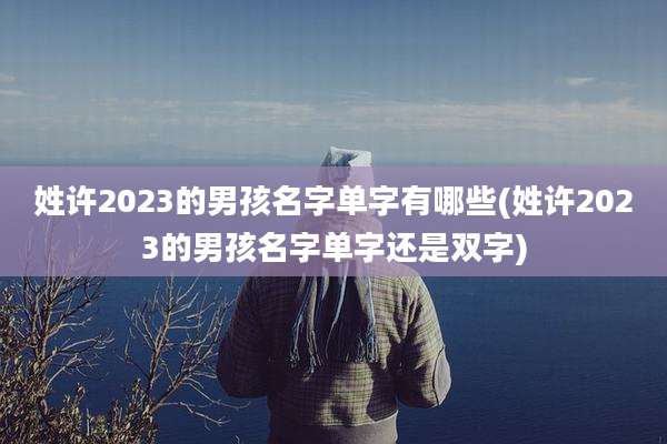 姓许2023的男孩名字单字有哪些(姓许2023的男孩名字单字还是双字)