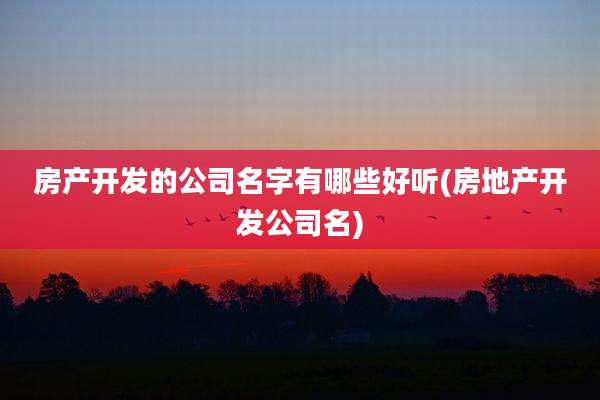 房产开发的公司名字有哪些好听(房地产开发公司名)