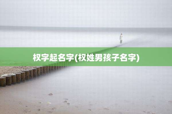 权字起名字(权姓男孩子名字)