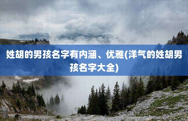姓胡的男孩名字有内涵、优雅(洋气的姓胡男孩名字大全)