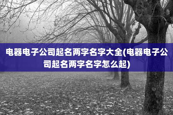 电器电子公司起名两字名字大全(电器电子公司起名两字名字怎么起)