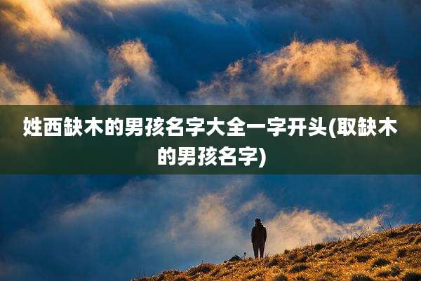 姓西缺木的男孩名字大全一字开头(取缺木的男孩名字)