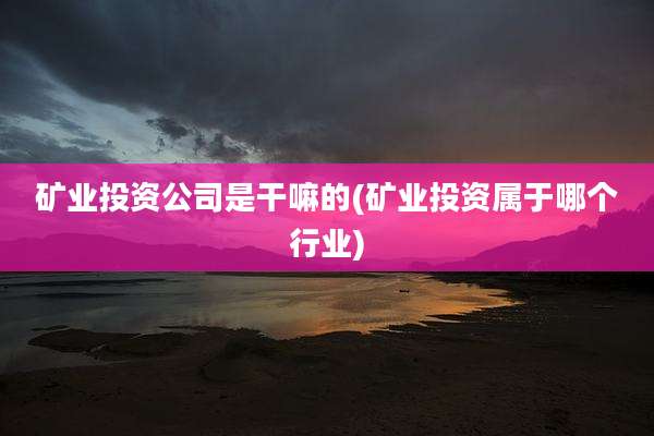 矿业投资公司是干嘛的(矿业投资属于哪个行业)