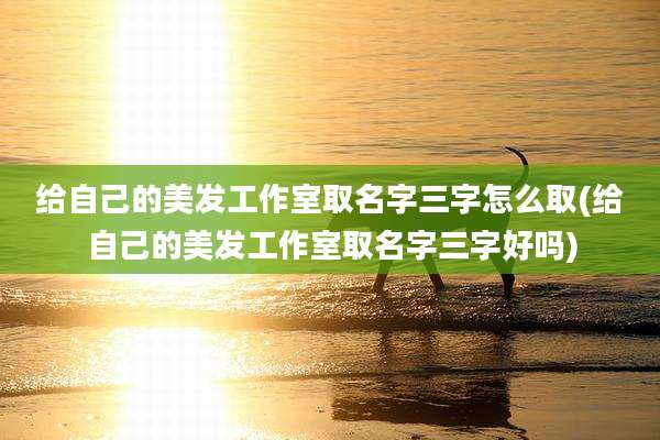 给自己的美发工作室取名字三字怎么取(给自己的美发工作室取名字三字好吗)