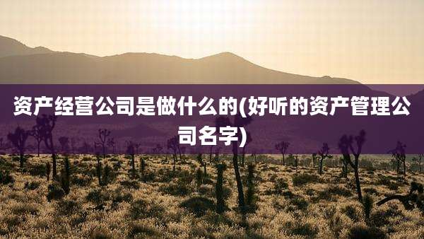 资产经营公司是做什么的(好听的资产管理公司名字)