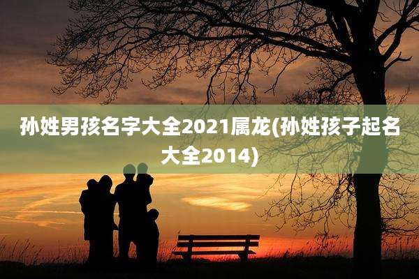 孙姓男孩名字大全2021属龙(孙姓孩子起名大全2014)