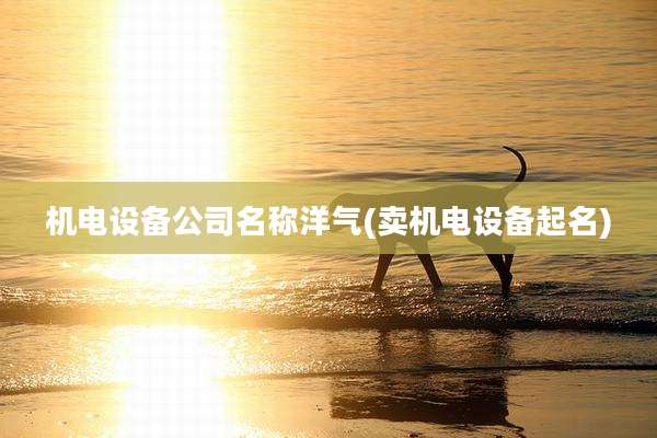 机电设备公司名称洋气(卖机电设备起名)