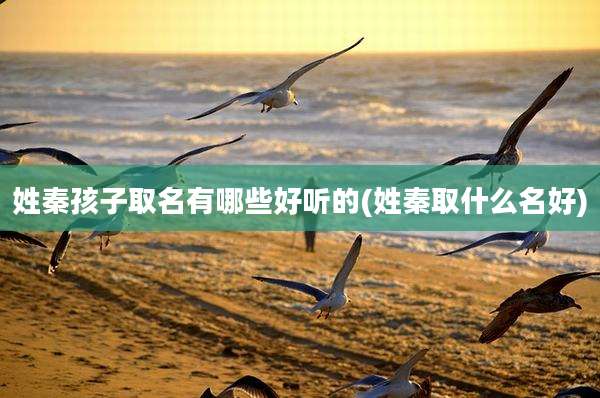 姓秦孩子取名有哪些好听的(姓秦取什么名好)