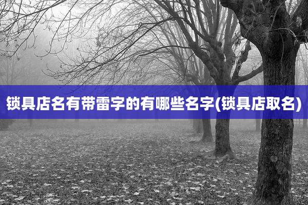 锁具店名有带雷字的有哪些名字(锁具店取名)