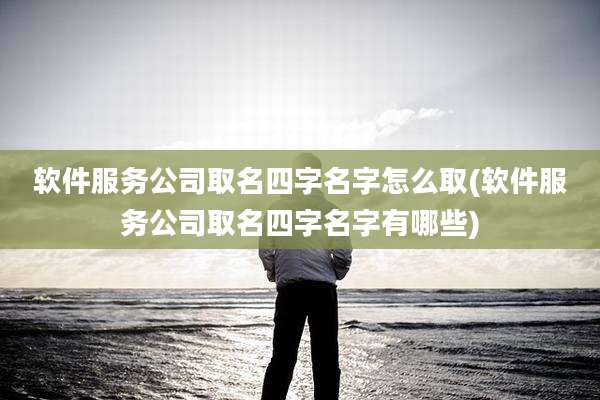 软件服务公司取名四字名字怎么取(软件服务公司取名四字名字有哪些)