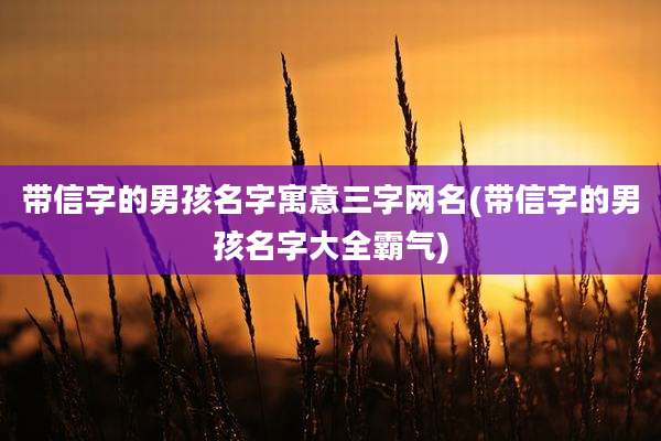 带信字的男孩名字寓意三字网名(带信字的男孩名字大全霸气)