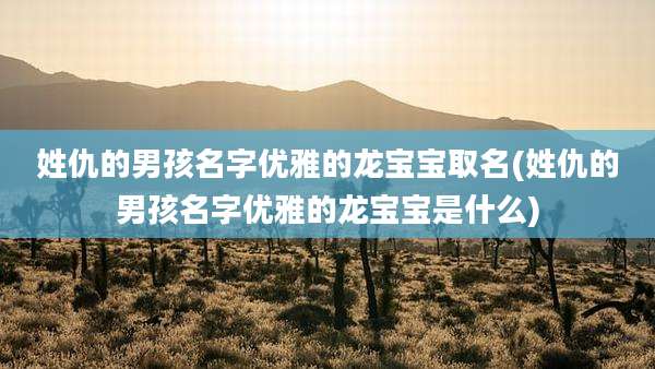 姓仇的男孩名字优雅的龙宝宝取名(姓仇的男孩名字优雅的龙宝宝是什么)