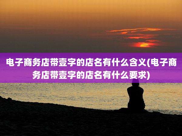 电子商务店带壹字的店名有什么含义(电子商务店带壹字的店名有什么要求)