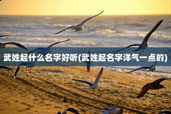 武姓起什么名字好听(武姓起名字洋气一点的)