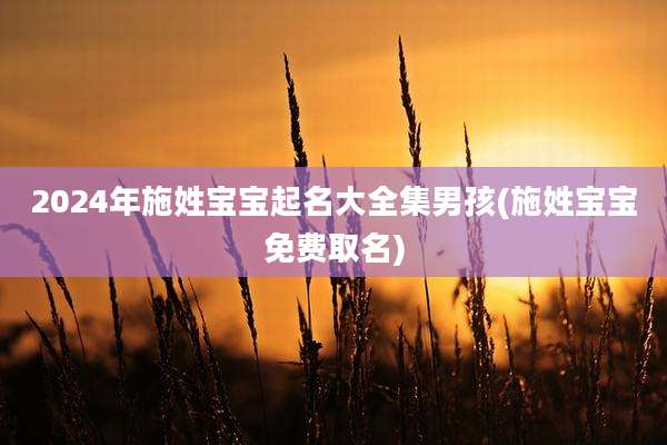 2024年施姓宝宝起名大全集男孩(施姓宝宝免费取名)