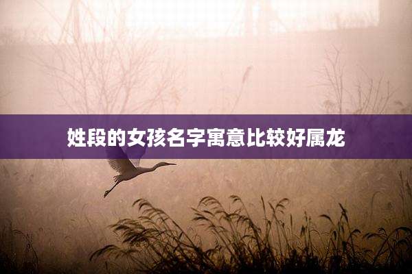 姓段的女孩名字寓意比较好属龙