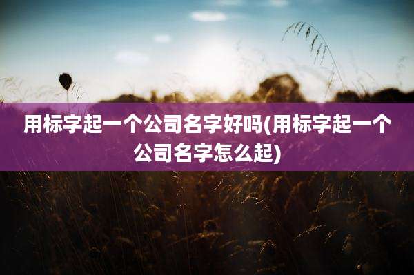 用标字起一个公司名字好吗(用标字起一个公司名字怎么起)