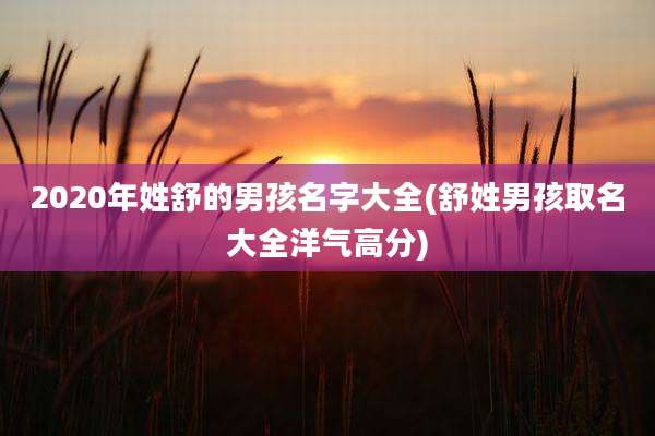 2020年姓舒的男孩名字大全(舒姓男孩取名大全洋气高分)