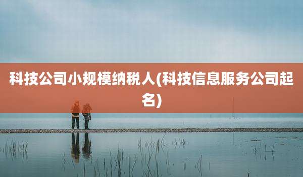 科技公司小规模纳税人(科技信息服务公司起名)