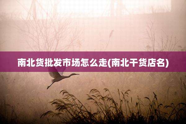 南北货批发市场怎么走(南北干货店名)