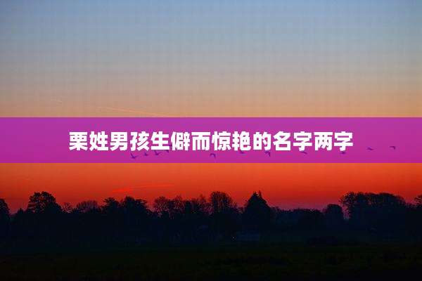 栗姓男孩生僻而惊艳的名字两字