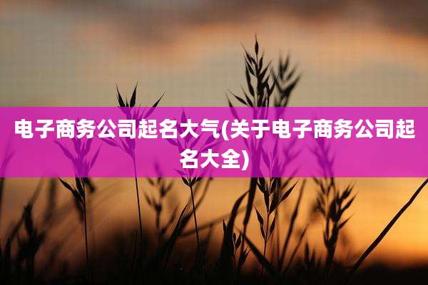 电子商务公司起名大气(关于电子商务公司起名大全)