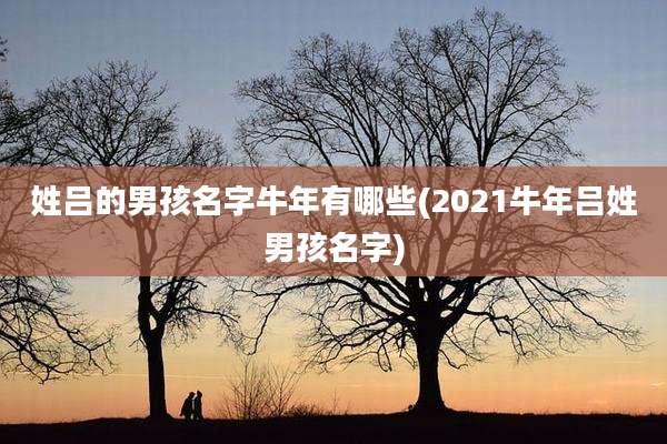 姓吕的男孩名字牛年有哪些(2021牛年吕姓男孩名字)