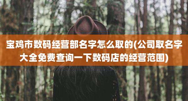 宝鸡市数码经营部名字怎么取的(公司取名字大全免费查询一下数码店的经营范围)