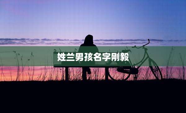 姓兰男孩名字刚毅