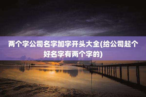 两个字公司名字加字开头大全(给公司起个好名字有两个字的)
