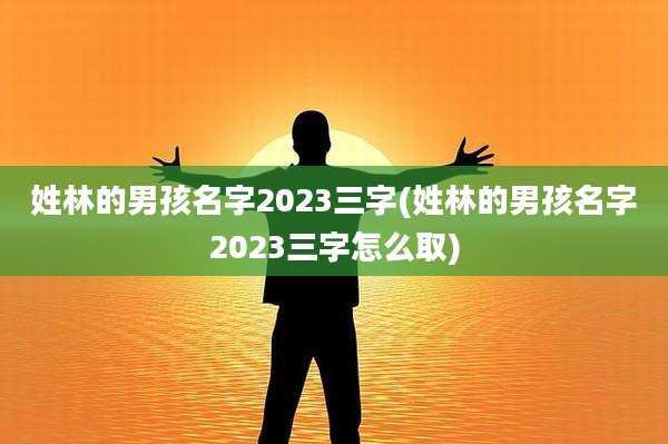 姓林的男孩名字2023三字(姓林的男孩名字2023三字怎么取)
