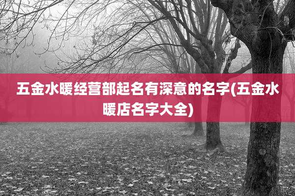 五金水暖经营部起名有深意的名字(五金水暖店名字大全)