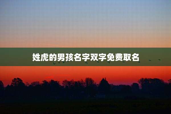 姓虎的男孩名字双字免费取名