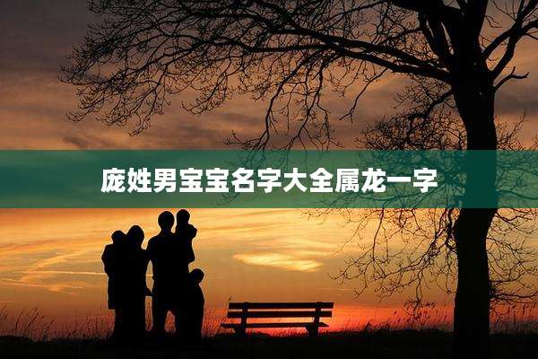 庞姓男宝宝名字大全属龙一字