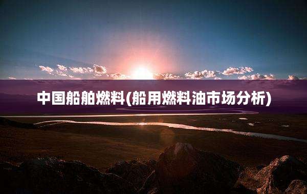 中国船舶燃料(船用燃料油市场分析)