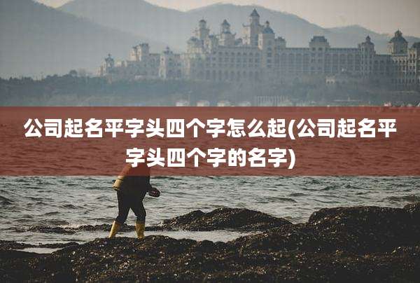 公司起名平字头四个字怎么起(公司起名平字头四个字的名字)