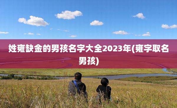 姓雍缺金的男孩名字大全2023年(雍字取名男孩)