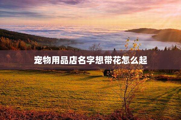 宠物用品店名字想带花怎么起
