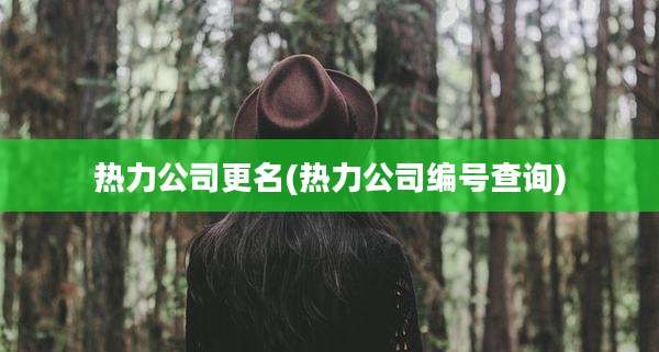 热力公司更名(热力公司编号查询)