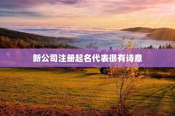 新公司注册起名代表很有诗意