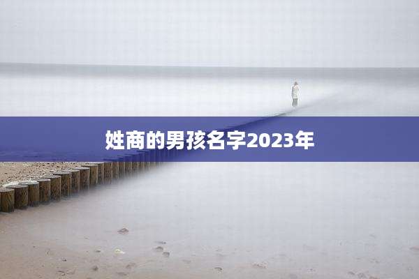 姓商的男孩名字2023年