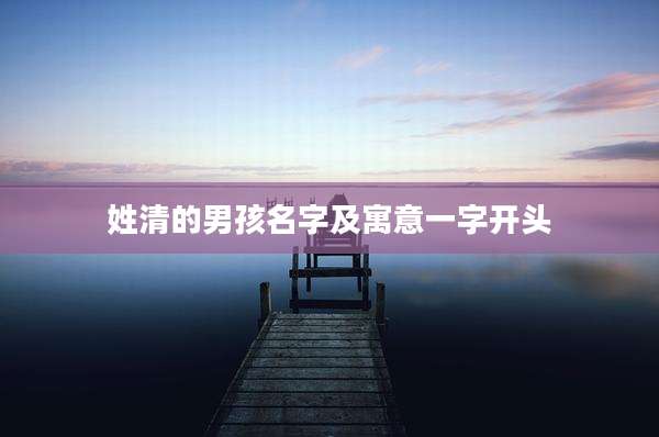 姓清的男孩名字及寓意一字开头